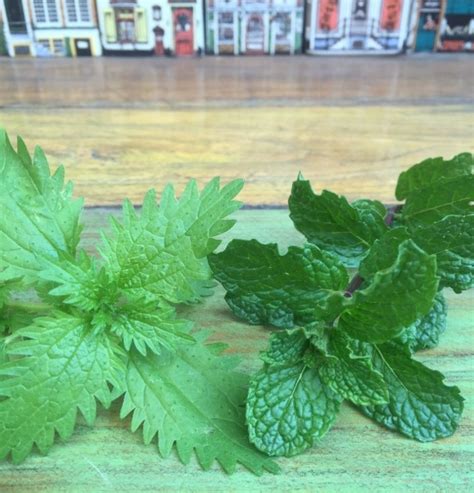 Stinging Nettle Tea Recipe — Yve Hart