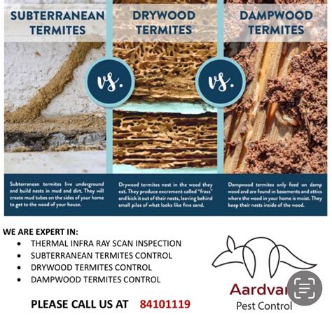 Termites Control For Subterranean And Drywood Termites Home Services