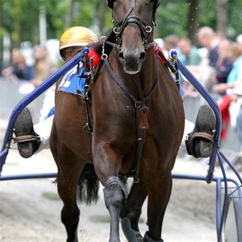 Dover Downs Harness Racing Schedule Rodi Vivian