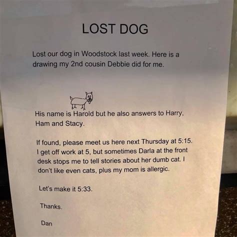 Lost dog - Meme Guy