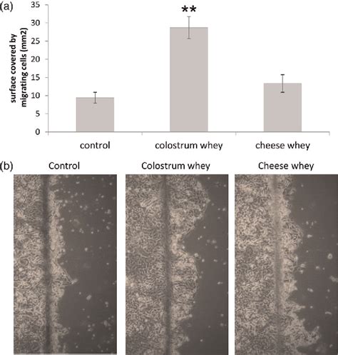 Figure 2 From A Gene Expression Programme Induced By Bovine Colostrum