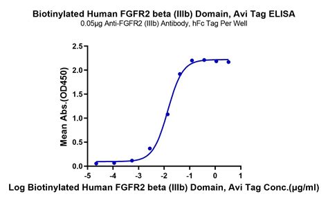 Biotinylated Human Fgfr2 Beta Iiib Domain Protein Accession P21802