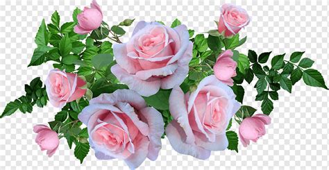 Compartilhar Imagem Arranjo De Flores Rosa Png Br Thptnganamst