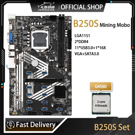 BTC Minera O Motherboard Set B250 G4560 CPU LGA 1151 Kit Suporte DDR4