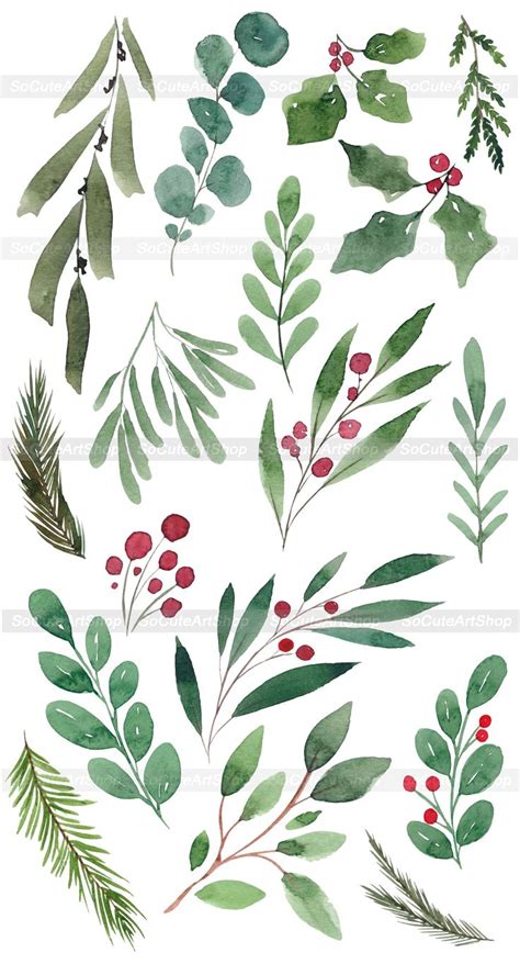 Watercolor Christmas Greenery Clipart Set With Red Berries And Green