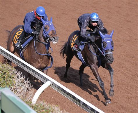 【フラワーc】ユーバーレーベンが美浦・坂路を軽快に登坂 丹内「スイッチ入った」 Umatoku 馬トク