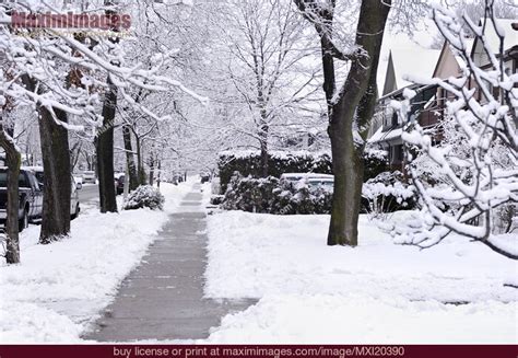 Street covered with snow. Stock Photo MXI20390