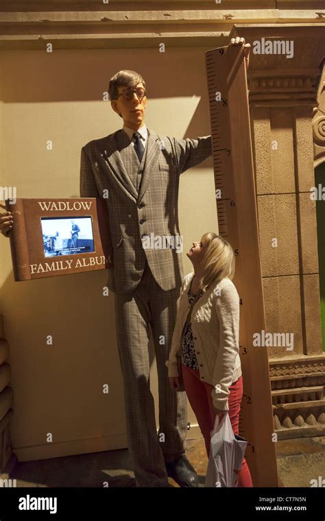 Worlds tallest man, Wadlow next to 5 foot tall tourist in on display in Ripley's believe it or ...