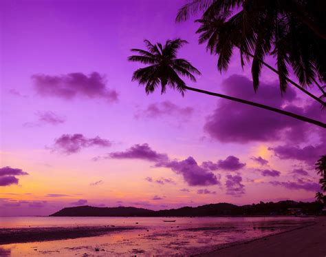 Purple Sky Wallpapers - Top Free Purple Sky Backgrounds - WallpaperAccess