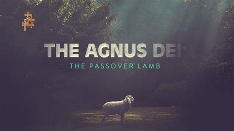 Sermon The Agnus Dei The Passover Lamb John Youtube