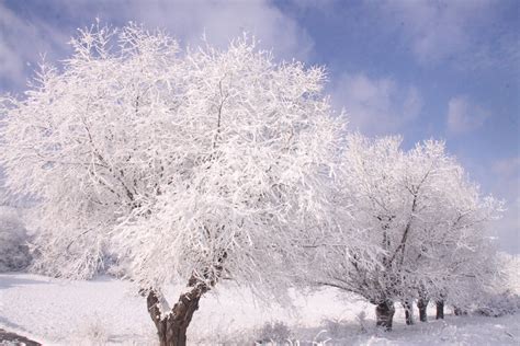 File:Winter Season.JPG - Wikimedia Commons