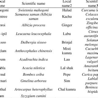 PLANTATION TYPES AND COMBINATIONS | Download Scientific Diagram