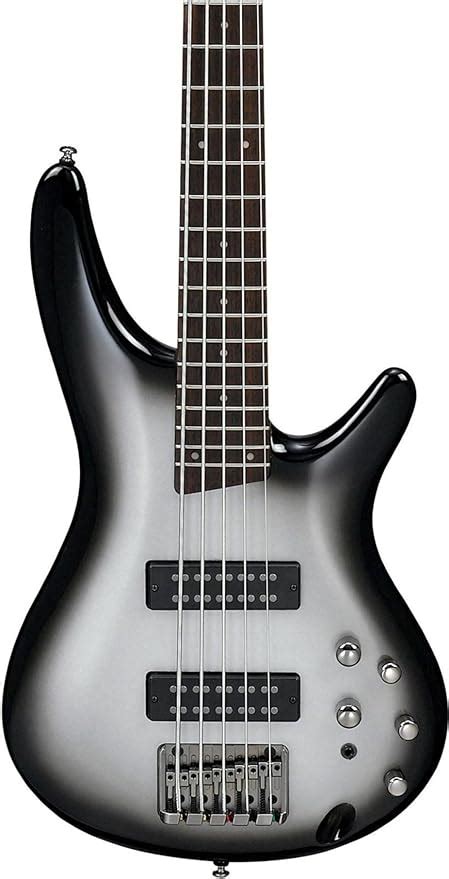 Ibanez Sdgr 5 String Bass Sr305 Guitar