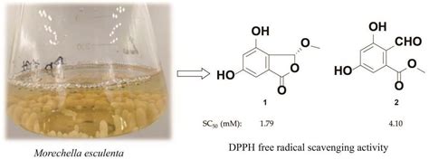 Molecules Free Full Text Dpph Radical Scavenging Activity Of New