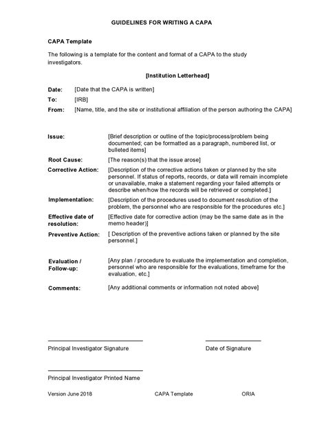 Corrective Action Plan Template