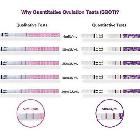 Kit De Prediccion Cuantitativa De La Ovulacion 50 Pruebas Envío Gratis