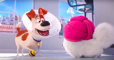 The Secret Life Of Pets 2 Letting Go Of Fear Film Reviews