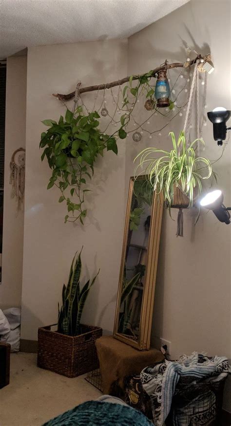 Pin by Pretty Nails Academia on mi habitación Hanging plants Small