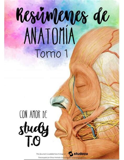 Resúmenes de Anatomía Brisa Andrada uDocz