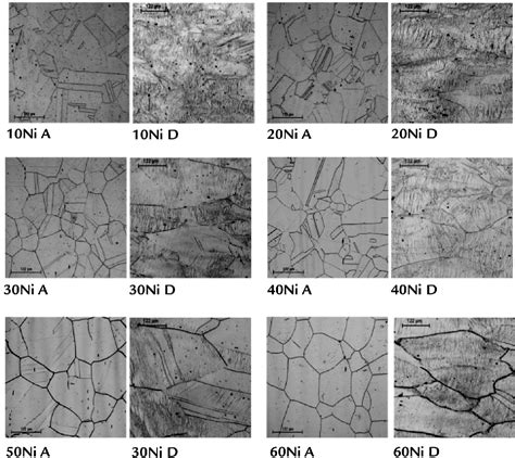 Figure 2 from Formation and reversion of strain induced martensite on ...