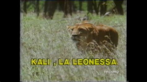 Il Mondo Di Quark Kali La Leonessa 15 Aprile 1992 YouTube