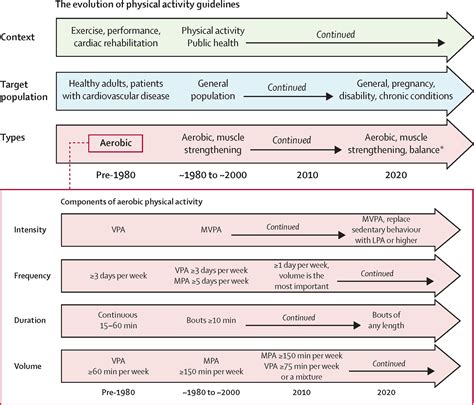 Physical Activity Guidelines 2020 Comprehensive And Inclusive Recommendations To Activate