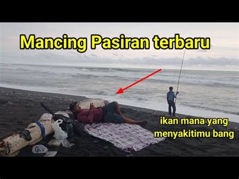 Menunggu Sambaran Ikan Predator Mancing Pasiran Terbaru Mancing Youtube