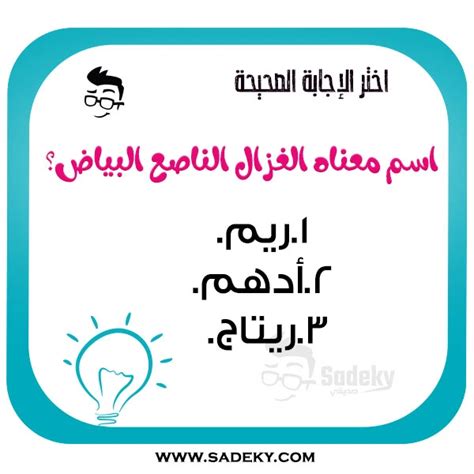 أسئلة عامة للمسابقات واجوبتها أسئلة مسابقات سهلة Sadeky