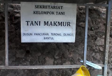 Ad Art Kelompok Tani Makmur Pedukuhan Pancuran Desa Terong Kecamatan