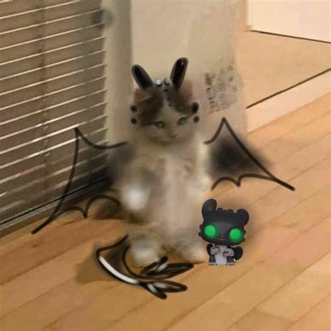 Httyd Ruffrunner Cat Httyd Httyd Funny Httyd Dragons