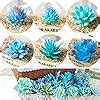 Amazon Woohome 10 PCS Artificial Succulent Plants Blue Fake