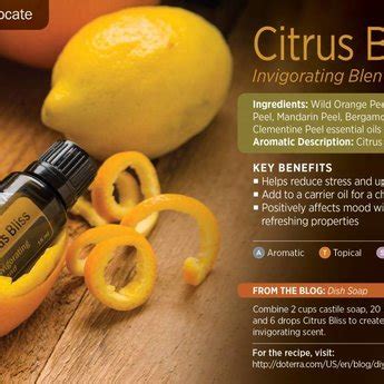 D Terra Essential Oils Citrus Bliss Essential Oil Invigorating Blend