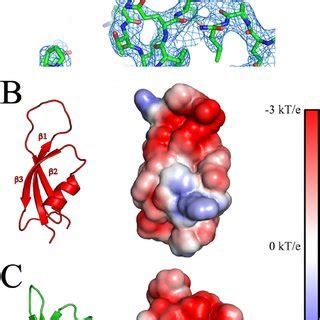 Determination Of The Structure Of Gfp Rnap By Single Particle