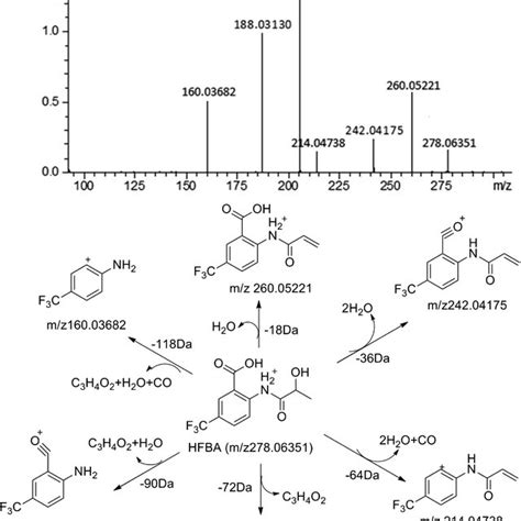 MS MS Spectrum Of HFBA And Its Proposed Fragmentation Pathways