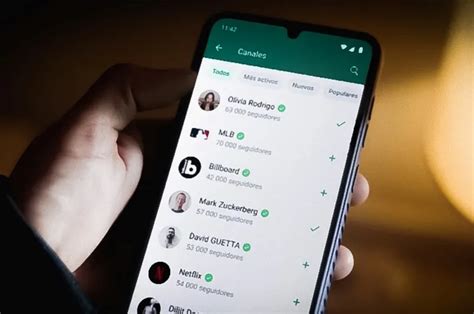 WhatsApp lanza una nueva actualización imperdible de qué se trata