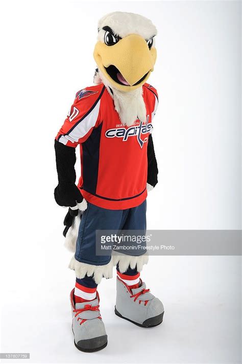 74 best NHL Mascots images on Pinterest | Hockey, Hockey logos and The ...