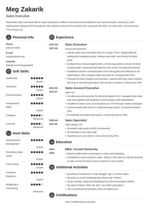 Best Executive Resume Template And 20 C Level Examples