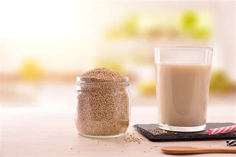 C Mo Preparar Leche De Quinoa Descubre La Receta Y Sus Beneficios