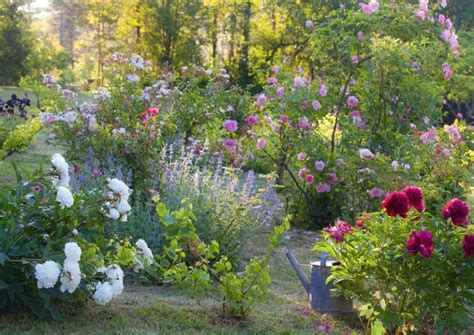 Secrets Revealed: How to Achieve a Breathtaking French Country Garden ...