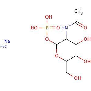 N Acetyl α D glucosamine 1 phosphate disodium salt CAS 31281 59 1