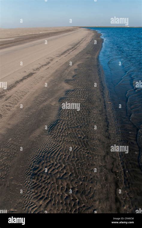 Sand Dunes Coast Laguna Ojo De Liebre Scammon Lagoon Parque