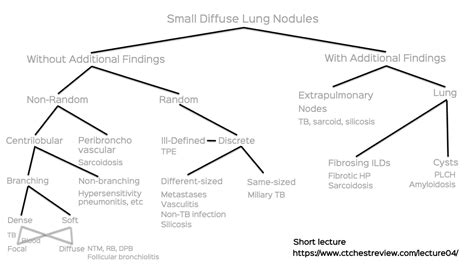 Case Same Sized Small Lung Nodules