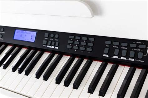 Migliori Pianoforti Digitali Guida Allacquisto 2024 Salvatore