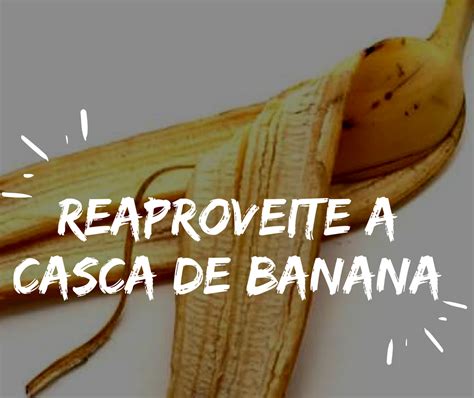 Como Reaproveitar Cascas De Bananas Desperd Cio Zero Ciclo Org Nico