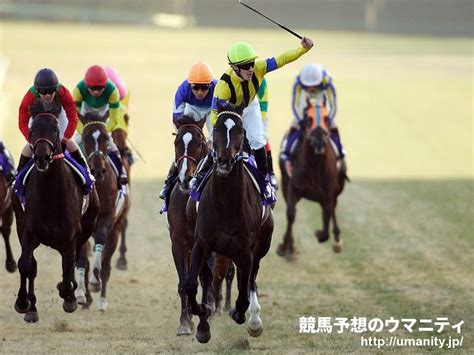 英セントレジャー勝ちのコンティニュアスがジャパンc参戦へ 日本生まれのハーツクライ産駒｜競馬ニュース｜競馬予想のウマニティ