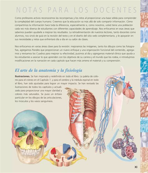 Principios De Anatomia Y Fisiologia Tortora Derrickson A Ed