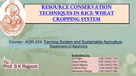 Resource Conservation Techniquesinricewheatcroppingsystem Ppt Free Download