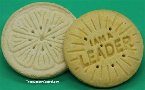 Girl Scout Lemon Cookies-Lemonades vs Lemon-ups -Comparing Cookies