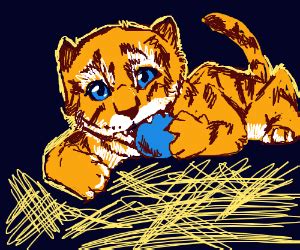 Baby Tiger playing - Drawception