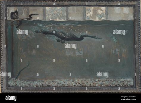 Diving Cormorant, 1900 Stock Photo - Alamy